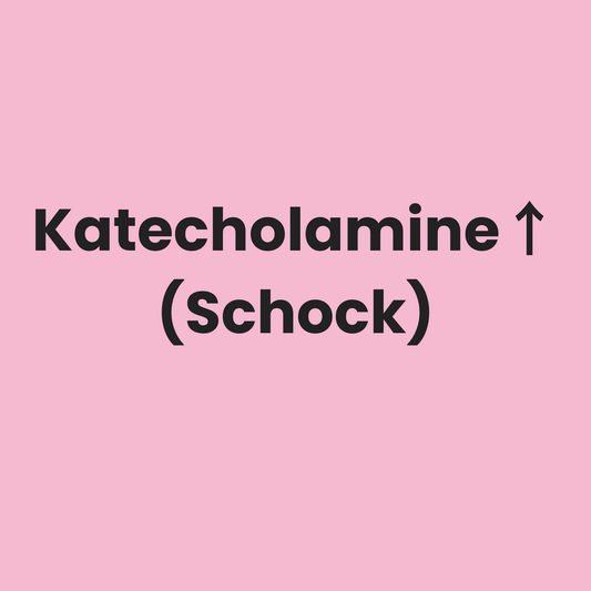 Katecholamine im Schock – warum steigt der Bedarf?